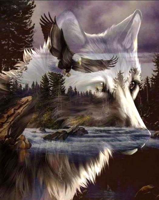 DIAMOND PAINTING - Wolf