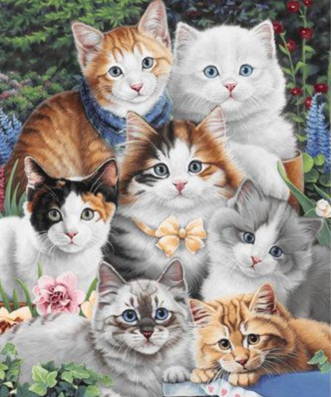 DIAMOND PAINTING - Katzenparty