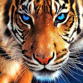 DIAMOND PAINTING -TIGER