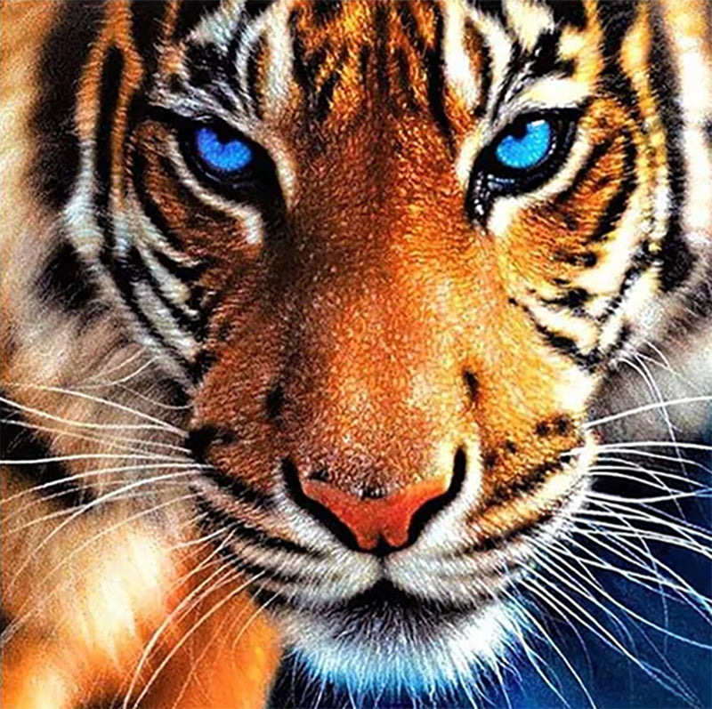 DIAMOND PAINTING -TIGER