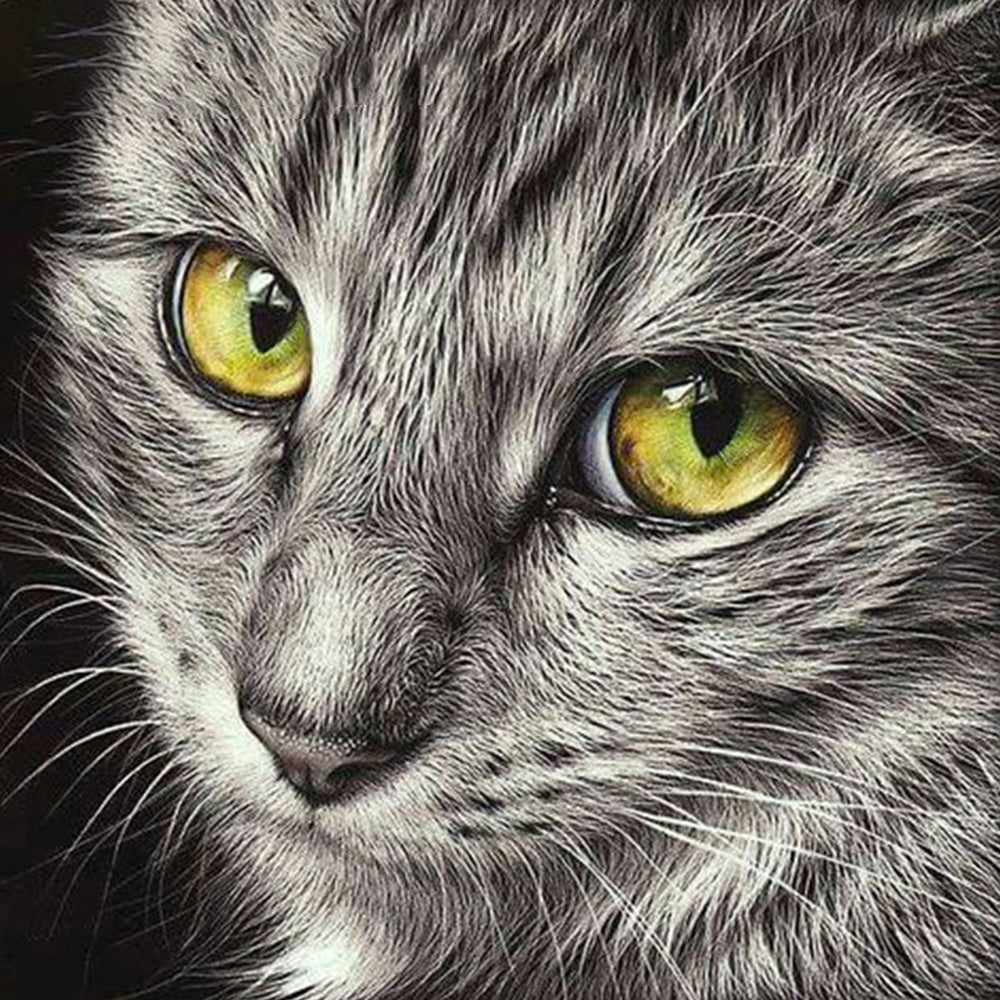 DIAMOND PAINTING - Katze