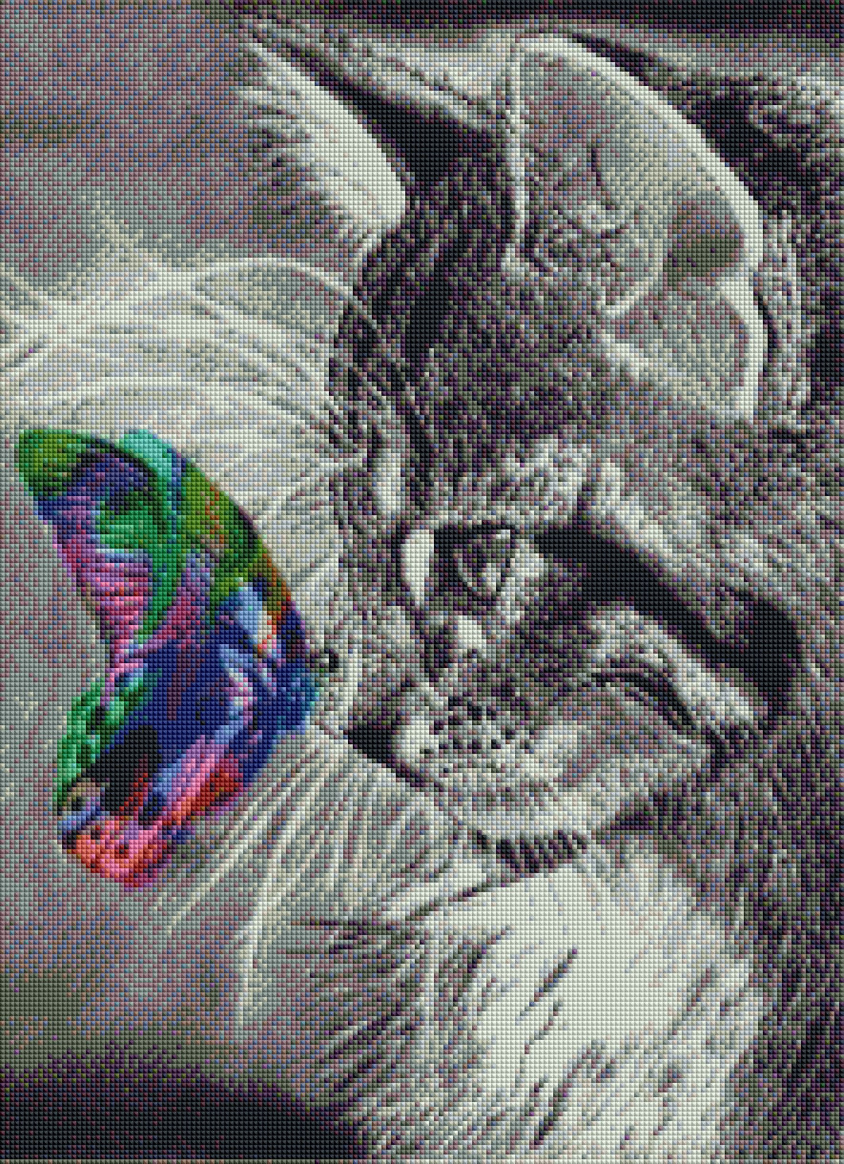 DIAMOND PAINTING - Katze