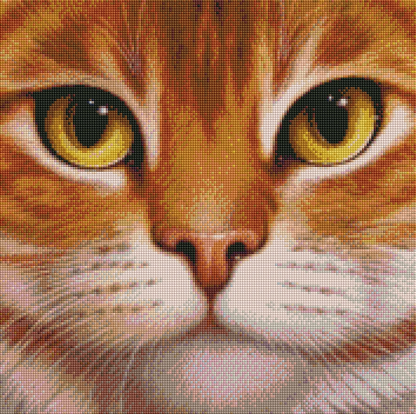 DIAMOND PAINTING -KATZE