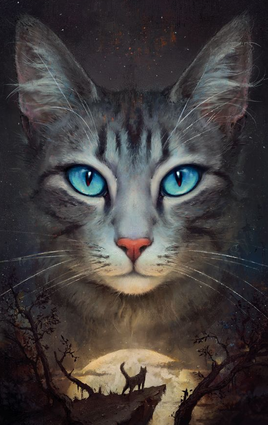 DIAMOND PAINTING - Katze