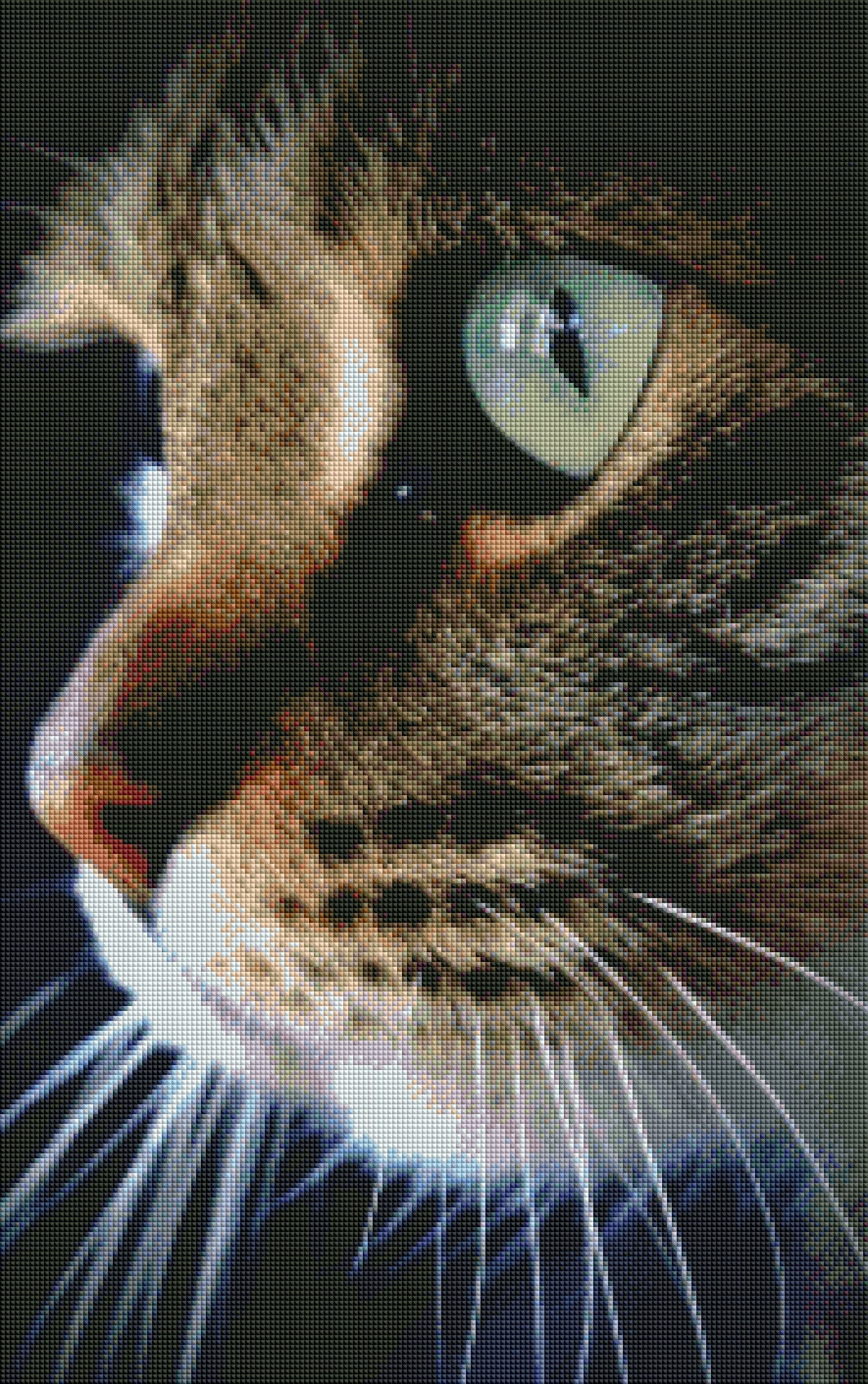 DIAMOND PAINTING - Katze