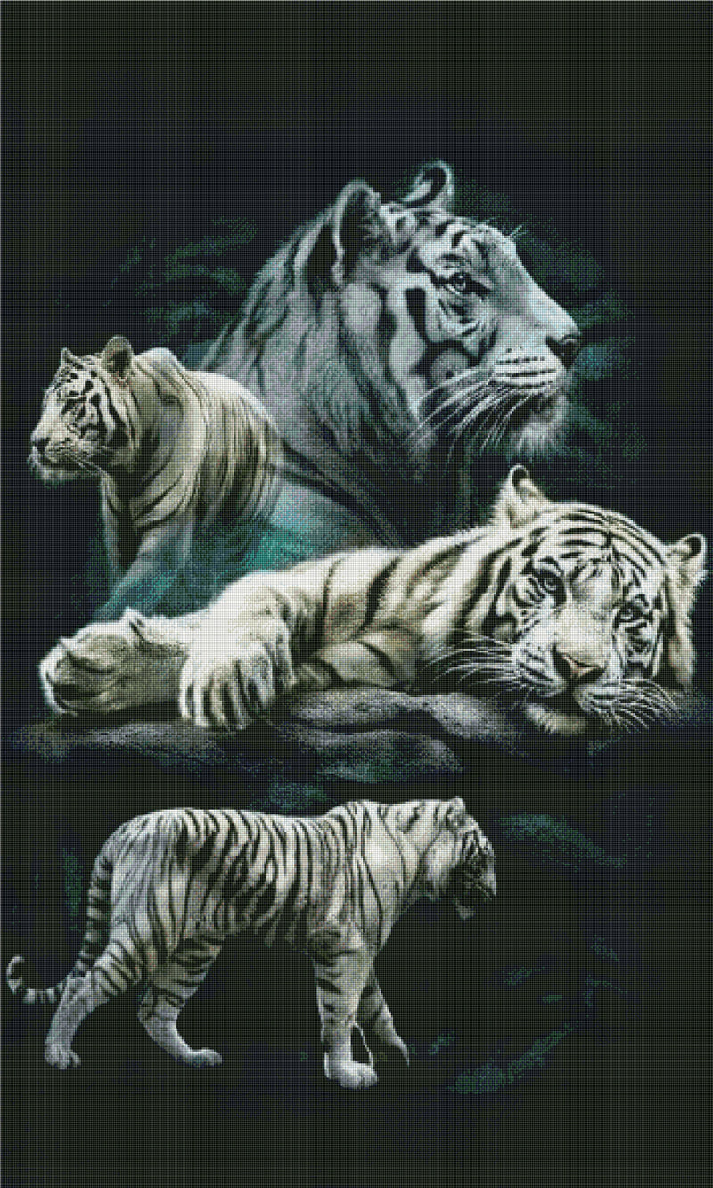 DIAMOND PAINTING - WEISSER TIGER