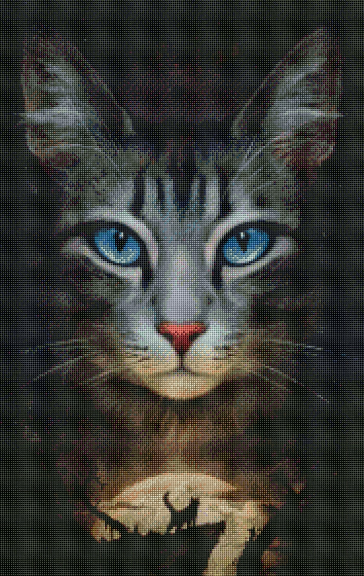 DIAMOND PAINTING - Katze