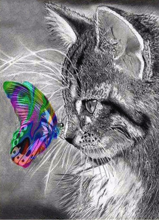 DIAMOND PAINTING - Katze